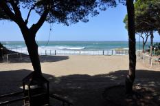 Immagine2
